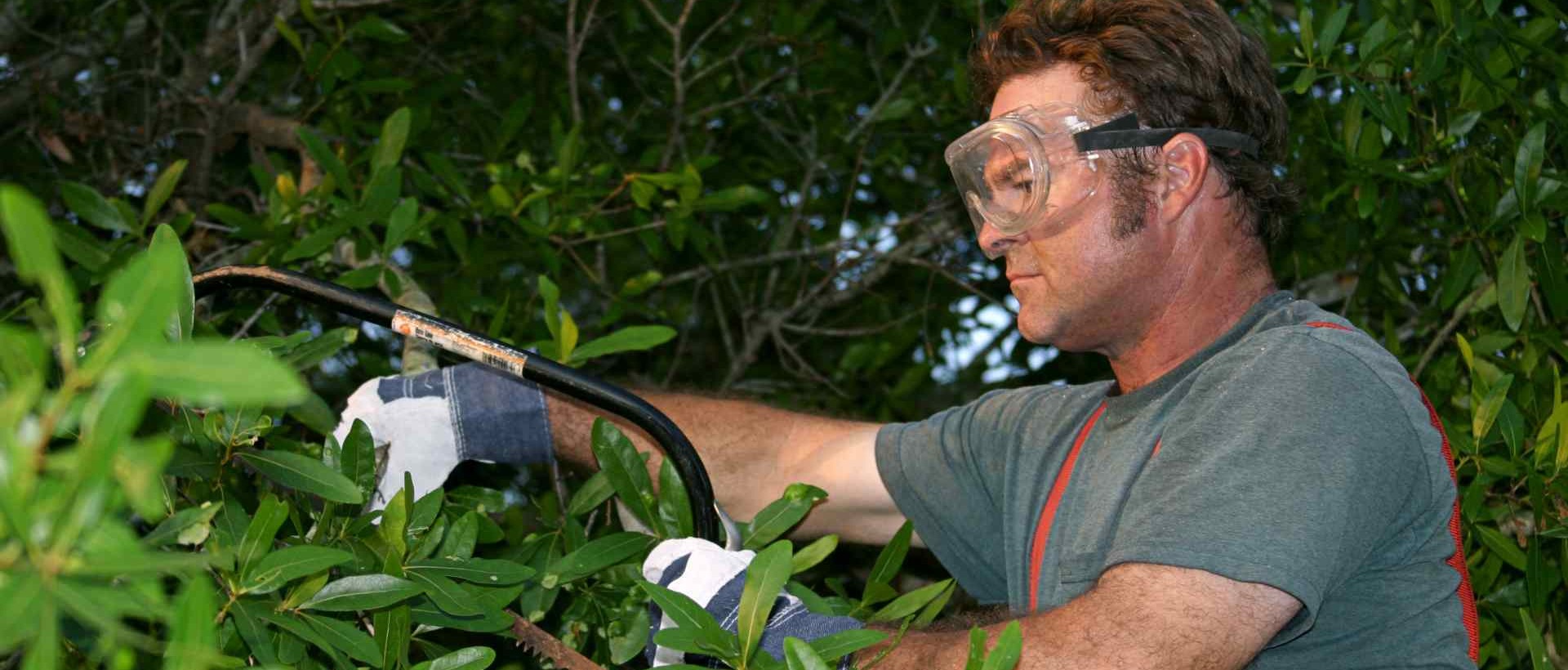 garden clearance N3