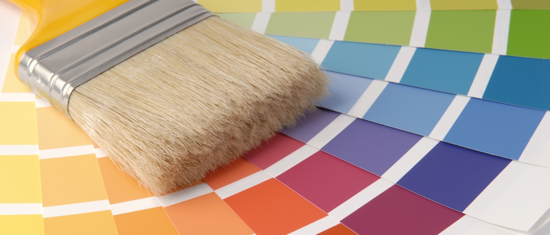 Painter N3